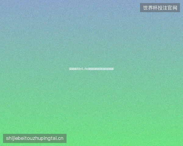世界杯决赛MetLife球场最新前瞻与看点深度解析一文读懂